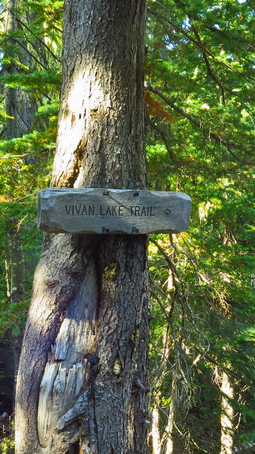 Vivian Lake from Salt Creek Falls Trailhead – Cascadian Outdoors